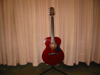 Takamine T‐F2｜田中音友堂