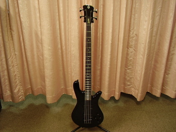 Spector Legend 4 Custom｜田中音友堂