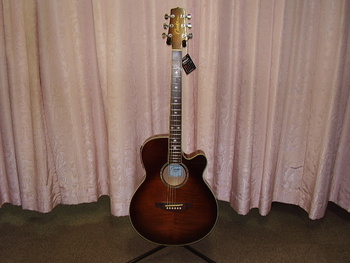 クーダーCooder by TAKAMINE エレアコ TCP-450 VTS-